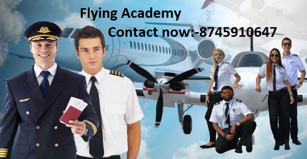 Private pilot training